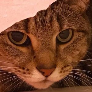 Meet your Posher, Adrianne